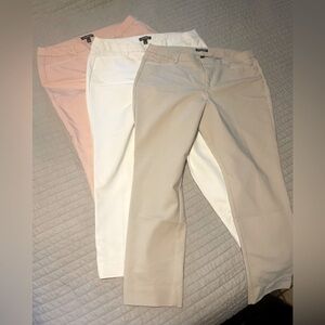 Roz & Ali signature fit ankle pants NWOT